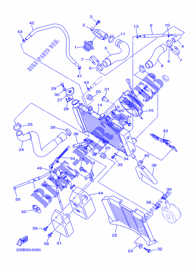 RADIATOR / HOSES for Yamaha XJ6N 2015