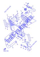RADIATOR / HOSES for Yamaha YZF-R6 1999