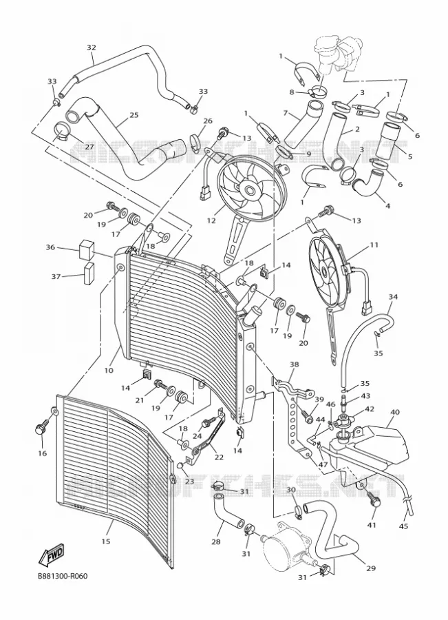 RADIATOR / HOSES Yamaha MOTO 1300 2016 FJR  FJR1300-A