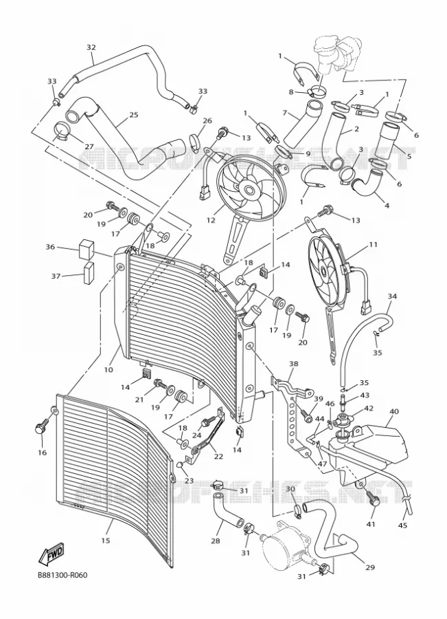 RADIATOR / HOSES Yamaha MOTO 1300 2016 FJR  FJR1300-AE