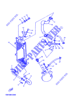 RADIATOR / HOSES for Yamaha DTRE 125 2005