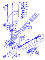 LOWER CASING & DRIVE for Yamaha 6C 2 Stroke, Manual Starter, Tiller Handle, Manual Tilt 1994