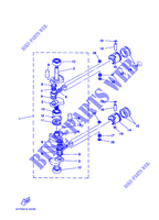 CRANKSHAFT / PISTON for Yamaha E8DM ENDURO, Manual Starter, Tiller Handle, Manual Tilt, Shaft 20