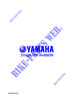ALTERNATIVE ENGINE  for Yamaha ENTICER II 2000