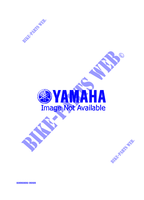 ALTERNATIVE ENGINE  for Yamaha PHAZER II 1996
