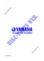 ALTERNATIVE ENGINE  for Yamaha PHAZER II 1996