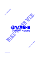 ALTERNATIVE  for Yamaha PHAZER II ST 1995