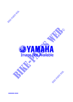 ALTERNATIVE FOR DRIVE for Yamaha PHAZER MOUNTAIN LITE 1999