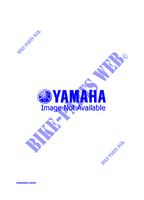 ALTERNATIVE ENGINE  for Yamaha VENTURE XL 1996
