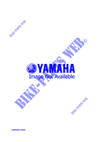 ALTERNATIVE ENGINE  for Yamaha VMAX-4 800 1996