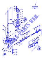 LOWER CASING & DRIVE 1 for Yamaha 20D 2 Stroke, Manual Starter 1988