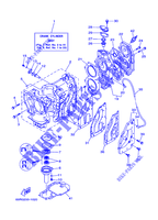 CYLINDER / CRANKCASE for Yamaha 25B Manual Starter, Tilller Handle, Manual Tilt, Pre-Mixing, Shaft 15