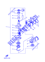 CRANKSHAFT / PISTON for Yamaha E25B Enduro, Manual Starter, Tilller Handle, Manual Tilt, Pre-Mixing, Shaft 15