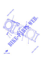 CYLINDER for Yamaha KODIAK 450 2019