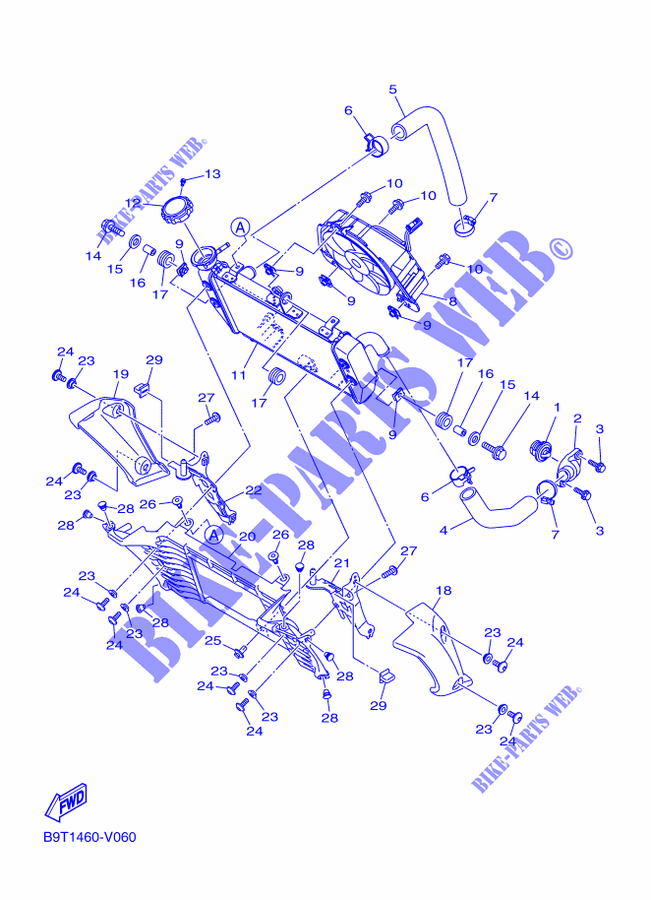 RADIATOR / HOSES for Yamaha MT-03 2020