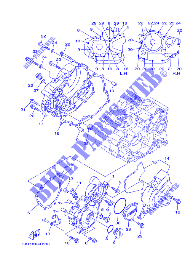 COVER   ENGINE 1 for Yamaha XG250 2005