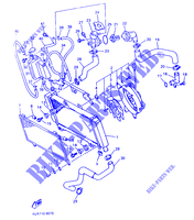 RADIATOR / HOSES for Yamaha XTZ660 1996