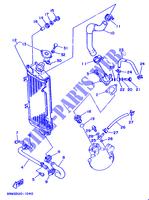 RADIATOR / HOSES for Yamaha DTE125 1991