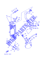 RADIATOR / HOSES for Yamaha DT125R 1997