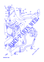 RADIATOR / HOSES for Yamaha YP125D 2002
